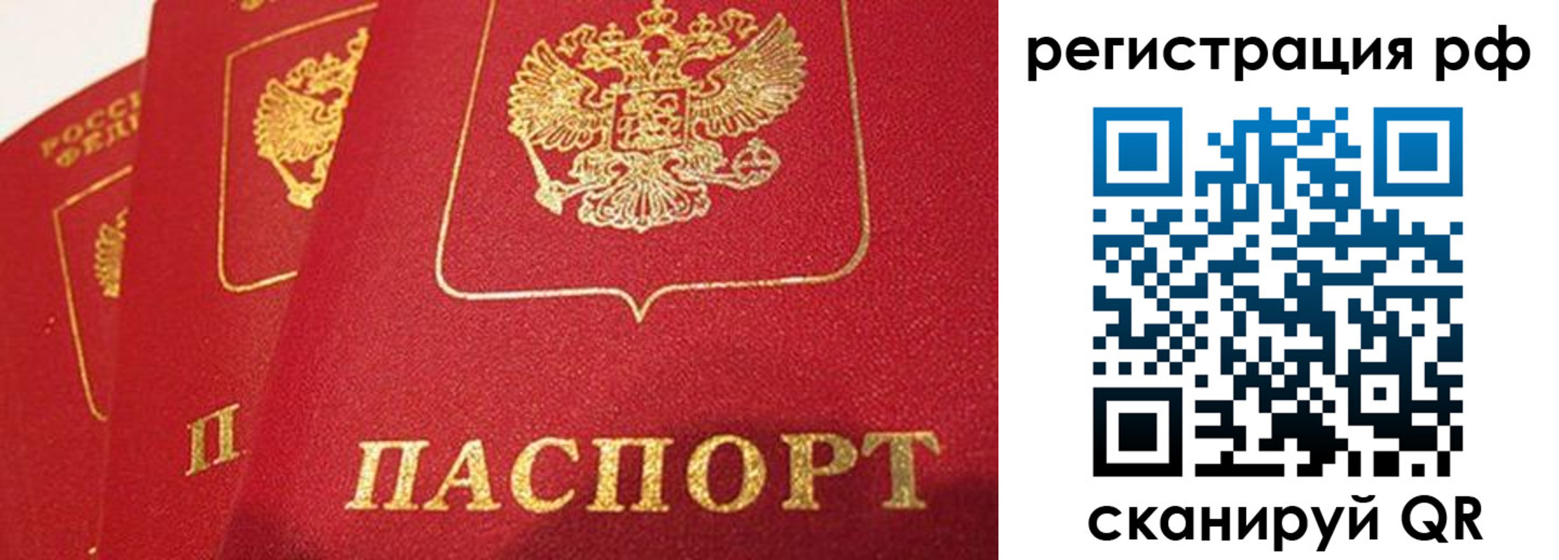 прописка поиск в Тамбове